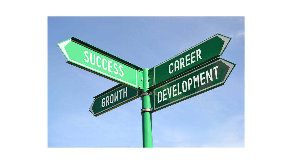 The Road to Success: Common Obstacles on the Path to Career Elevation
